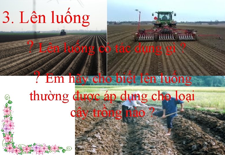 3. Lên luống ? Lên luống có tác dụng gì ? ? Em hãy