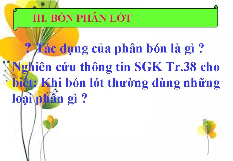 III. BÓN PH N LÓT ? Tác dụng của phân bón là gì ?