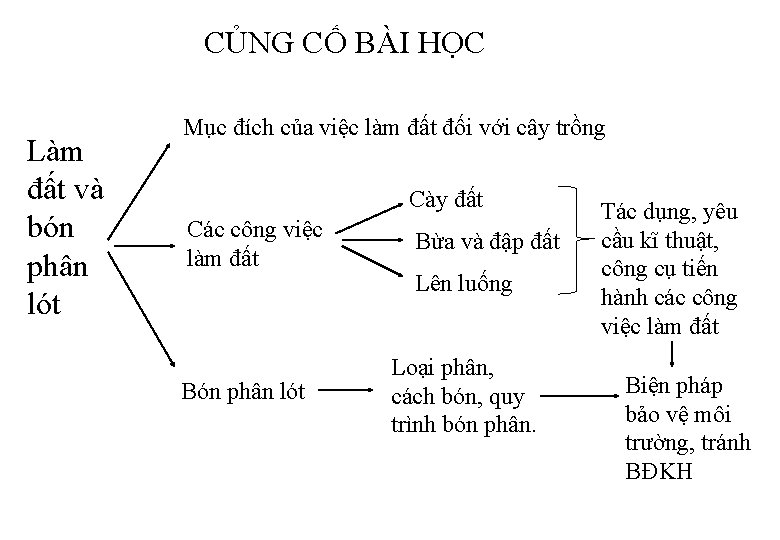 CỦNG CỐ BÀI HỌC Làm đất và bón phân lót Mục đích của việc