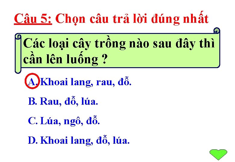 Câu 5: Chọn câu trả lời đúng nhất Các loại cây trồng nào sau