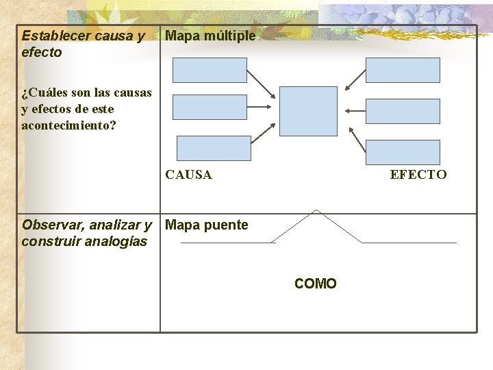 Establecer causa y efecto Mapa múltiple ¿Cuáles son las causas y efectos de este