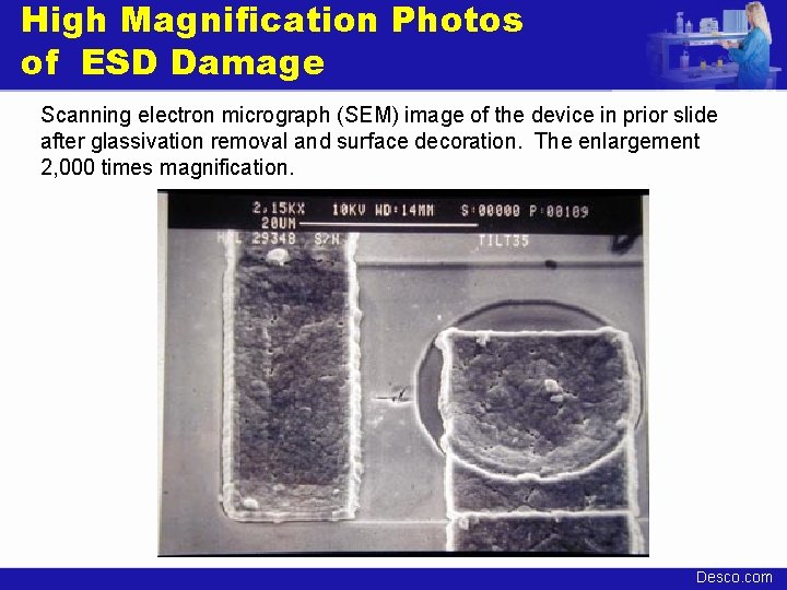 High Magnification Photos of ESD Damage Scanning electron micrograph (SEM) image of the device