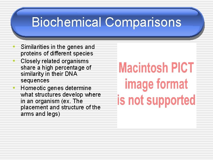 Biochemical Comparisons • Similarities in the genes and • • proteins of different species
