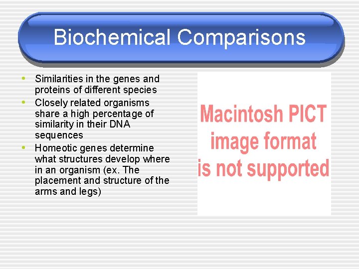 Biochemical Comparisons • Similarities in the genes and • • proteins of different species