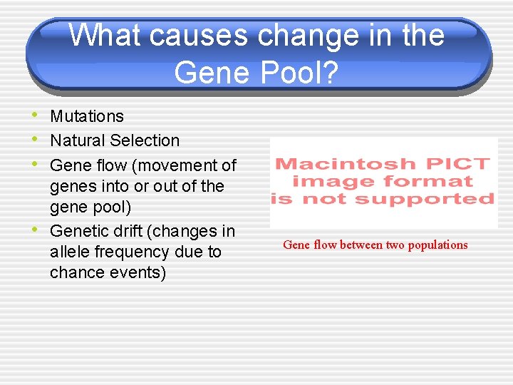 What causes change in the Gene Pool? • Mutations • Natural Selection • Gene