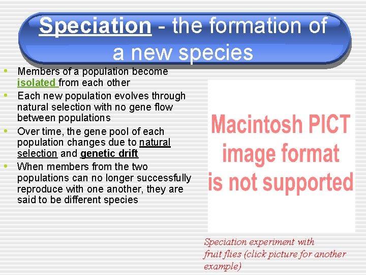 Speciation - the formation of a new species • Members of a population become