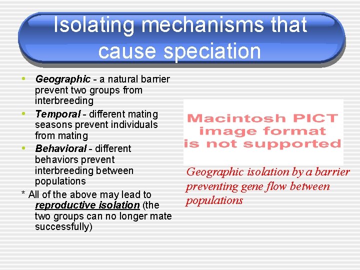 Isolating mechanisms that cause speciation • Geographic - a natural barrier prevent two groups