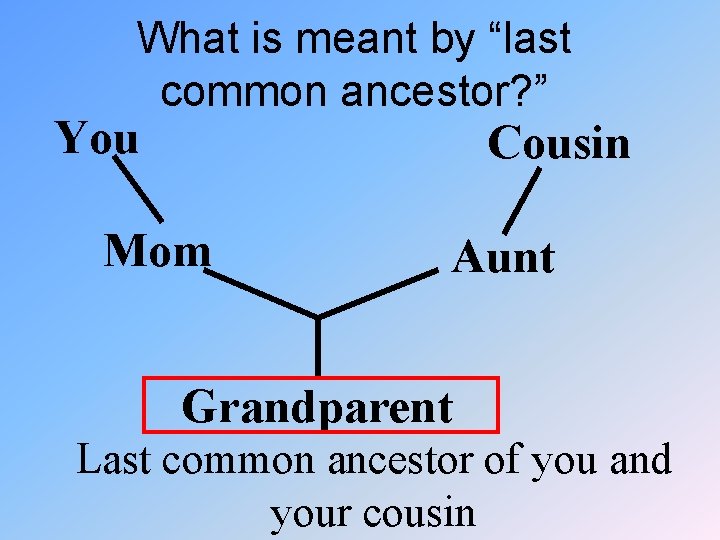 What is meant by “last common ancestor? ” You Cousin Mom Aunt Grandparent Last