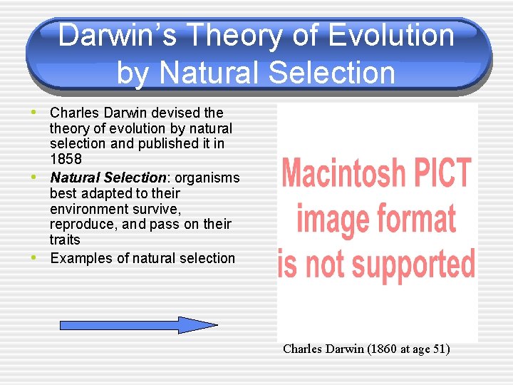 Darwin’s Theory of Evolution by Natural Selection • Charles Darwin devised the • •