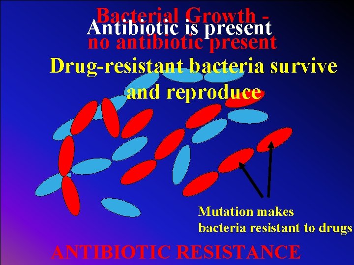Bacterial Growth Antibiotic is present no antibiotic present Drug-resistant bacteria survive and reproduce Mutation