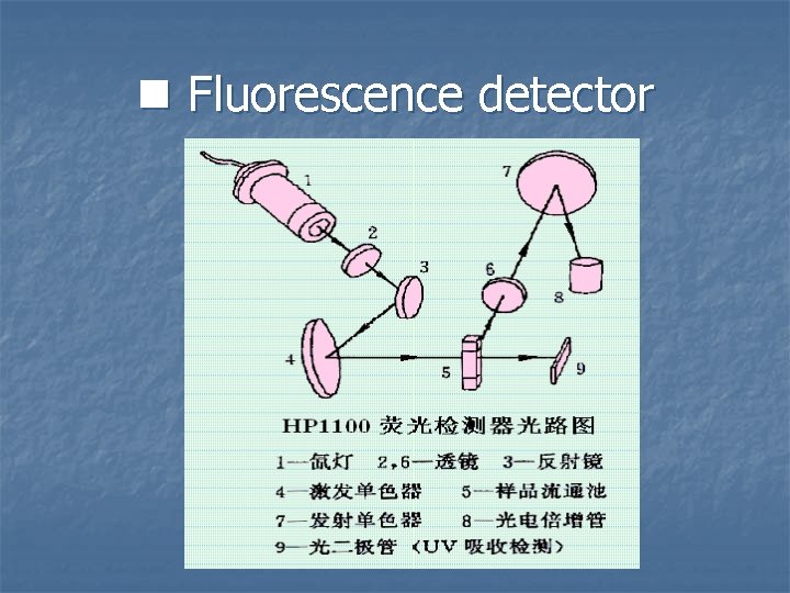 n Fluorescence detector 
