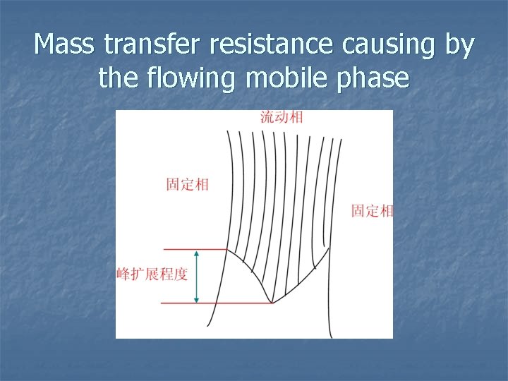 Mass transfer resistance causing by the flowing mobile phase 