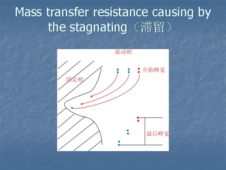 Mass transfer resistance causing by the stagnating（滞留） 