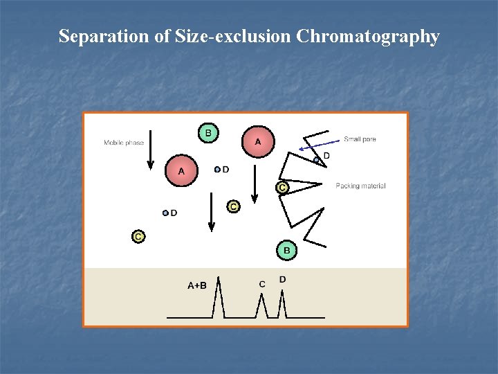Separation of Size-exclusion Chromatography 