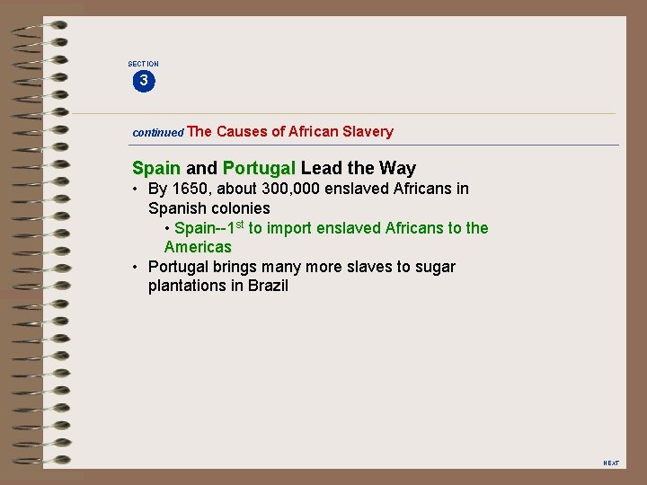 SECTION 3 continued The Causes of African Slavery Spain and Portugal Lead the Way