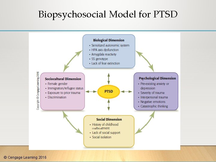 Biopsychosocial Model for PTSD © Cengage Learning 2016 