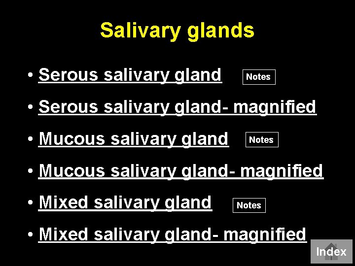 Salivary glands • Serous salivary gland Notes • Serous salivary gland- magnified • Mucous