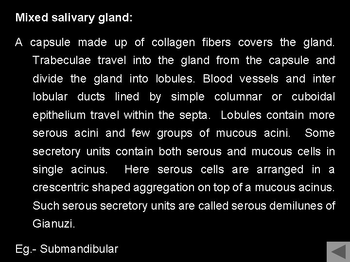 Mixed salivary gland: A capsule made up of collagen fibers covers the gland. Trabeculae