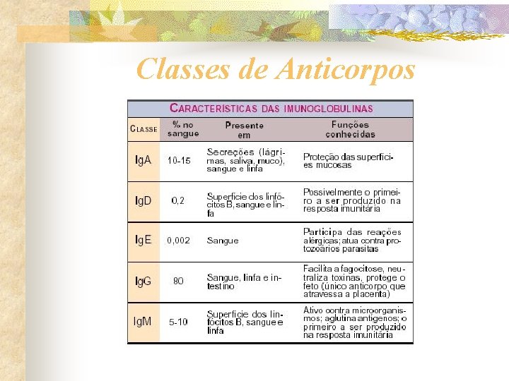Classes de Anticorpos 