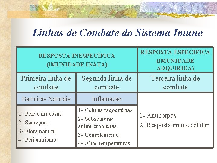 Linhas de Combate do Sistema Imune RESPOSTA INESPECÍFICA (IMUNIDADE INATA) Primeira linha de combate