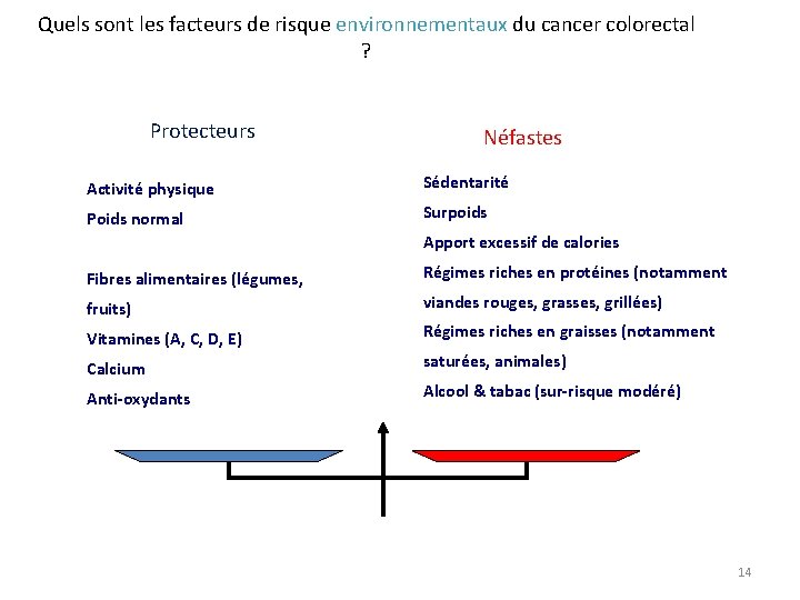 Quels sont les facteurs de risque environnementaux du cancer colorectal ? Protecteurs Néfastes Activité