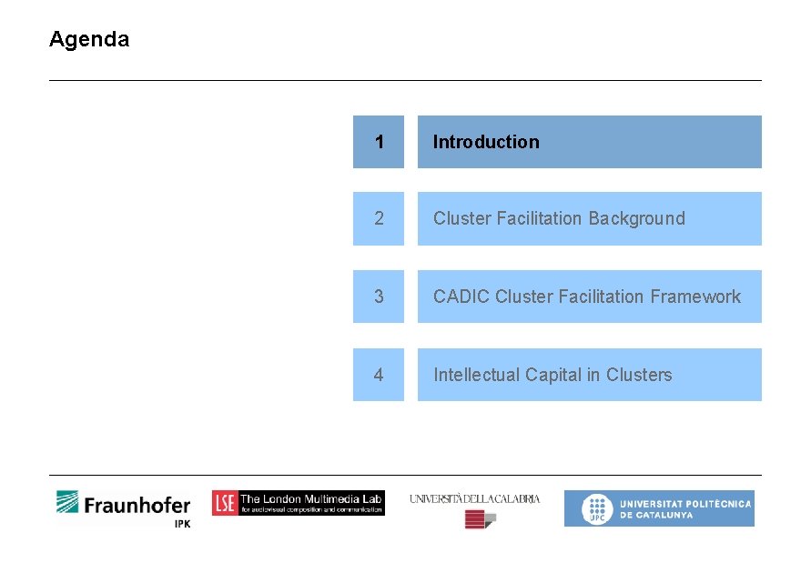 Agenda 1 Introduction 2 Cluster Facilitation Background 3 CADIC Cluster Facilitation Framework 4 Intellectual