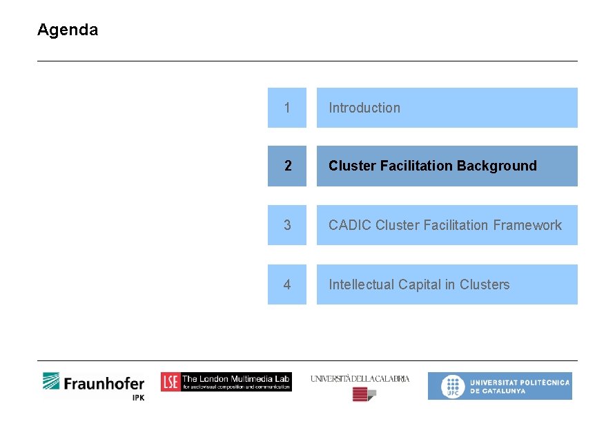 Agenda 1 Introduction 2 Cluster Facilitation Background 3 CADIC Cluster Facilitation Framework 4 Intellectual