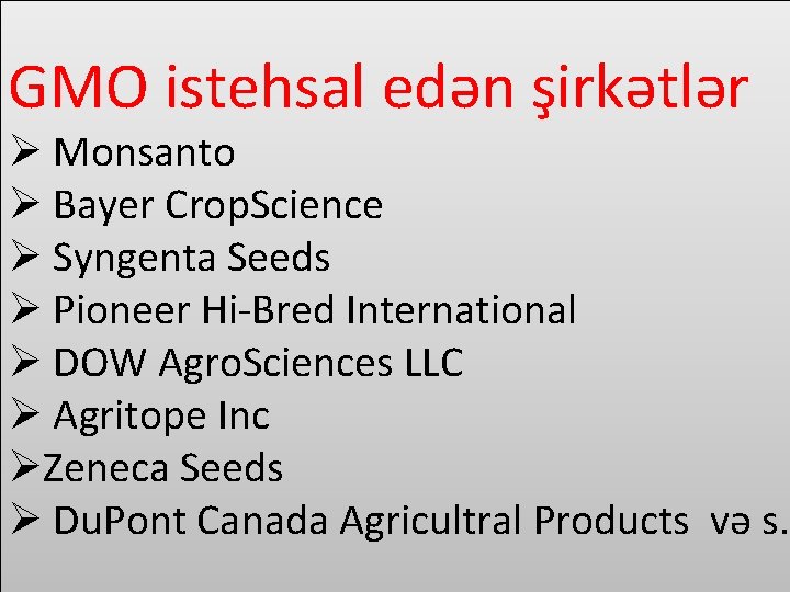 GMO istehsal edən şirkətlər Ø Monsanto Ø Bayer Crop. Science Ø Syngenta Seeds Ø