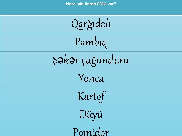 Hansı bitkilərdə GMO var? Qarğıdalı Pambıq Şəkər çuğunduru Yonca Kartof Düyü Pomidor 