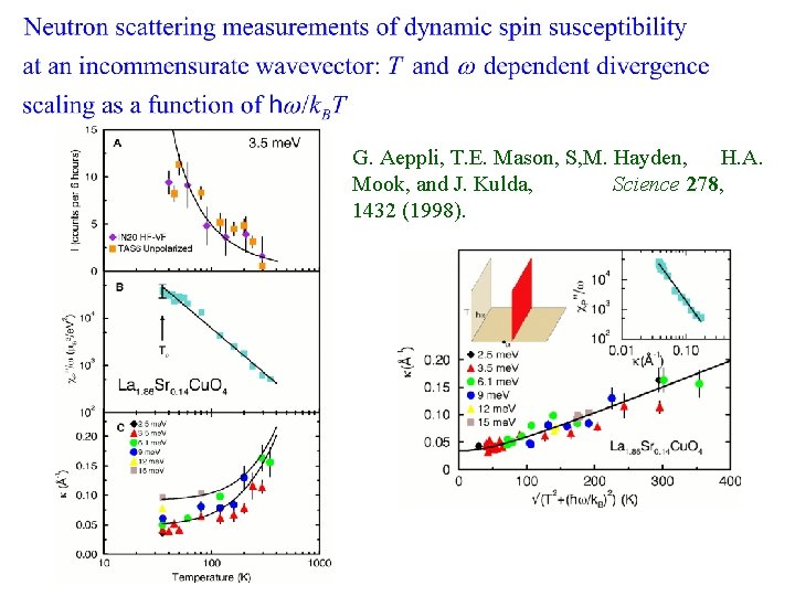 G. Aeppli, T. E. Mason, S, M. Hayden, H. A. Mook, and J. Kulda,