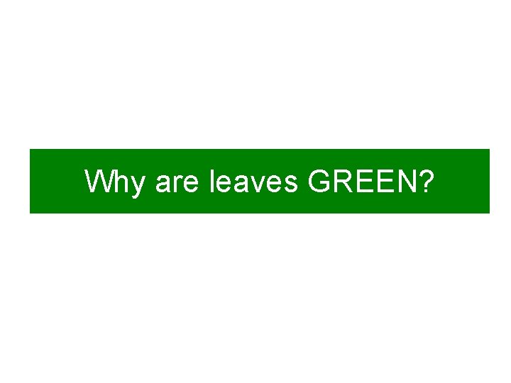 Why are leaves GREEN? 