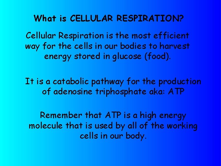 What is CELLULAR RESPIRATION? Cellular Respiration is the most efficient way for the cells