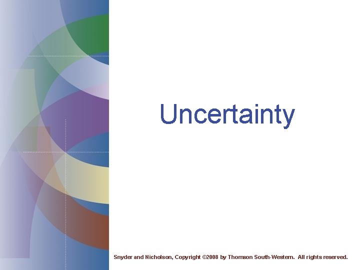 Uncertainty Snyder and Nicholson, Copyright © 2008 by Thomson South-Western. All rights reserved. 