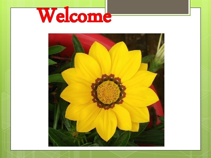 Welcome 