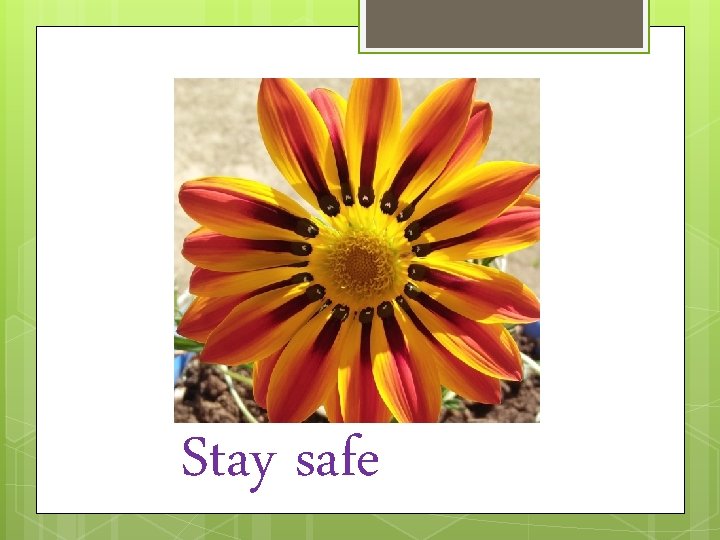 Stay safe 