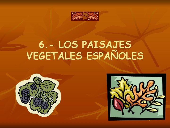 6. - LOS PAISAJES VEGETALES ESPAÑOLES 