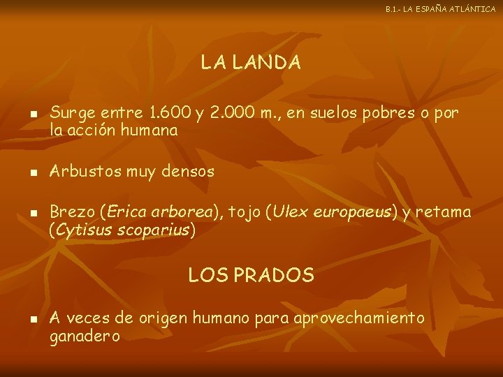 B. 1. - LA ESPAÑA ATLÁNTICA LA LANDA n n n Surge entre 1.