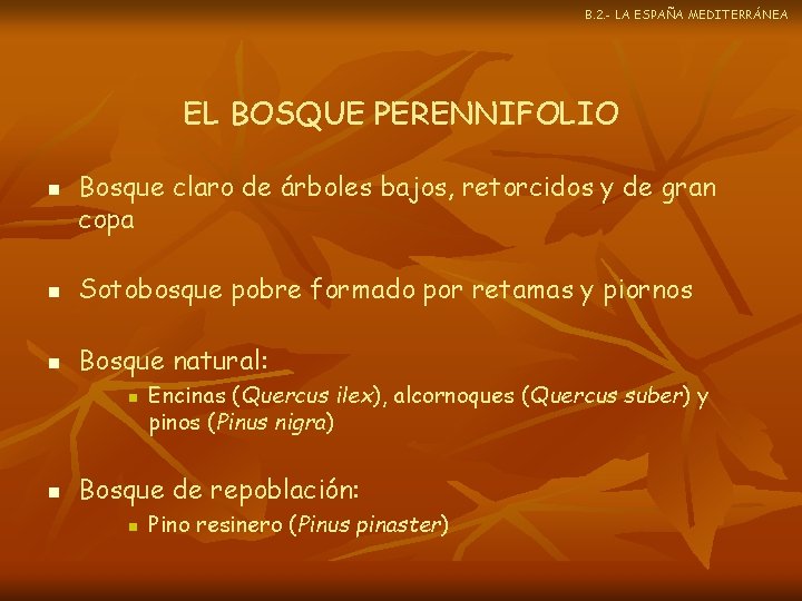 B. 2. - LA ESPAÑA MEDITERRÁNEA EL BOSQUE PERENNIFOLIO n Bosque claro de árboles