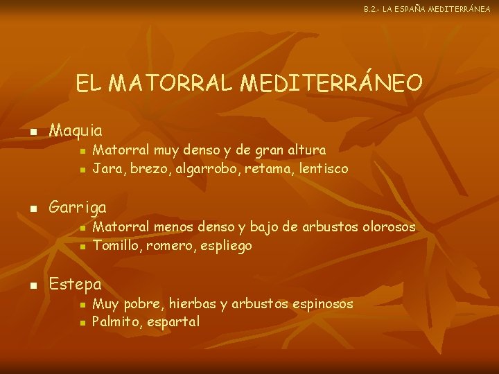 B. 2. - LA ESPAÑA MEDITERRÁNEA EL MATORRAL MEDITERRÁNEO n Maquia n n n