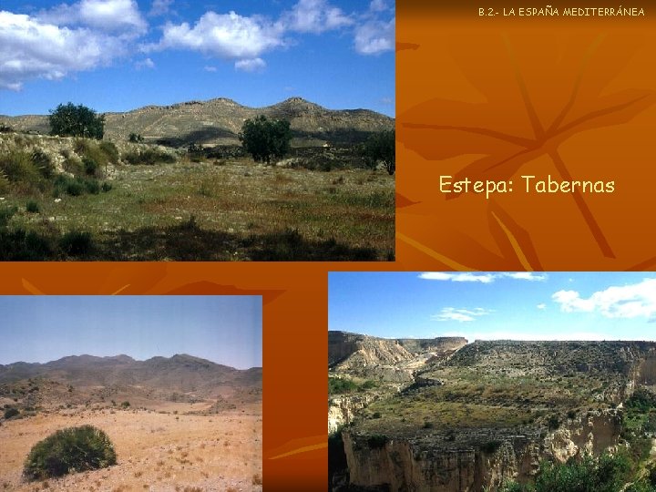 B. 2. - LA ESPAÑA MEDITERRÁNEA Estepa: Tabernas 