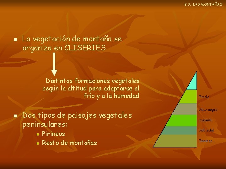 B. 3. - LAS MONTAÑAS n La vegetación de montaña se organiza en CLISERIES