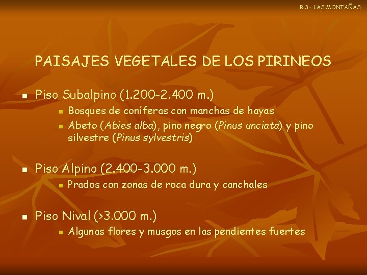B. 3. - LAS MONTAÑAS PAISAJES VEGETALES DE LOS PIRINEOS n Piso Subalpino (1.