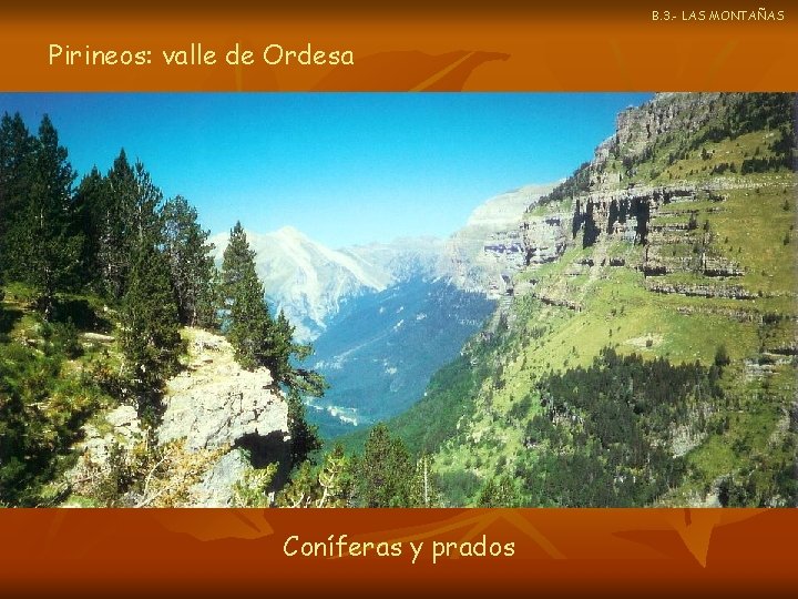 B. 3. - LAS MONTAÑAS Pirineos: valle de Ordesa Coníferas y prados 