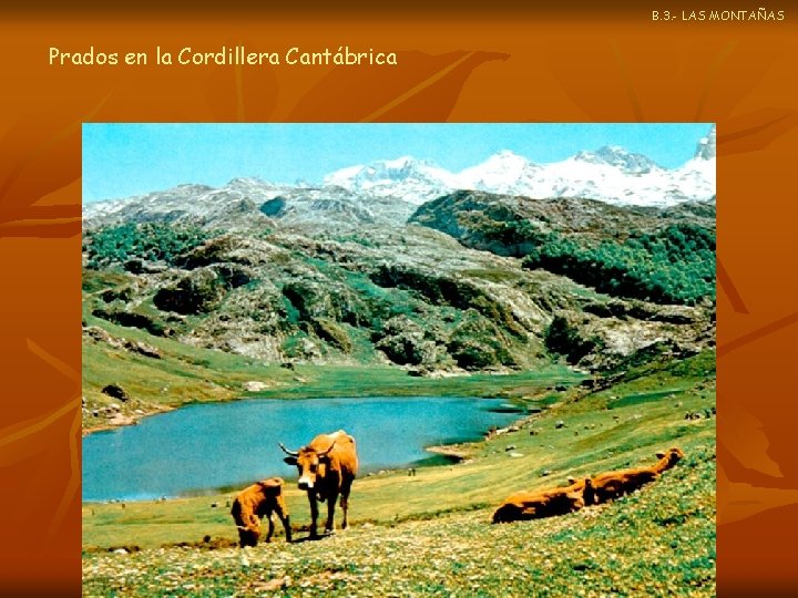 B. 3. - LAS MONTAÑAS Prados en la Cordillera Cantábrica 