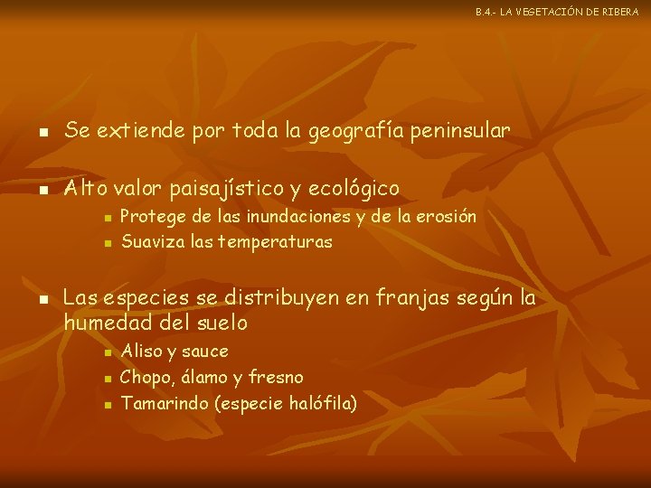 B. 4. - LA VEGETACIÓN DE RIBERA n Se extiende por toda la geografía
