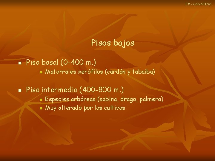 B. 5. - CANARIAS Pisos bajos n Piso basal (0 -400 m. ) n