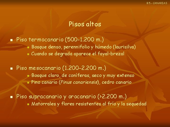 B. 5. - CANARIAS Pisos altos n Piso termocanario (500 -1. 200 m. )