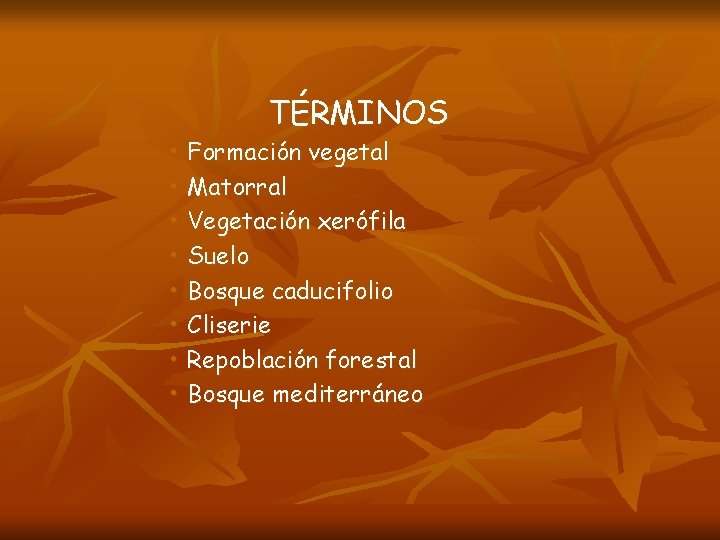 TÉRMINOS • Formación vegetal • Matorral • Vegetación xerófila • Suelo • Bosque caducifolio