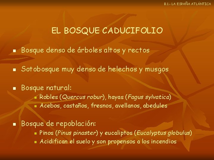 B. 1. - LA ESPAÑA ATLÁNTICA EL BOSQUE CADUCIFOLIO n Bosque denso de árboles
