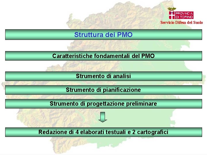 Servizio Difesa del Suolo Struttura dei PMO Caratteristiche fondamentali del PMO Strumento di analisi